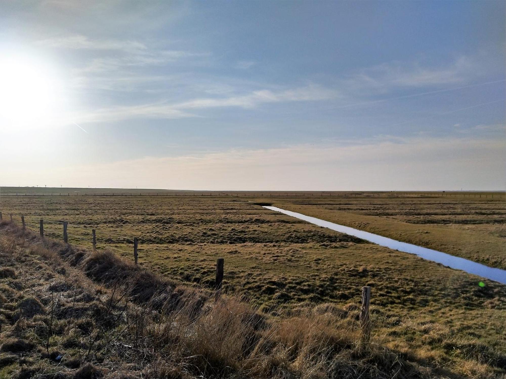 Ferienhaus Kolibri, Exklusiv Und Familiaer In Nessmersiel Mit Anbindung Nach Baltrum Exteriör bild